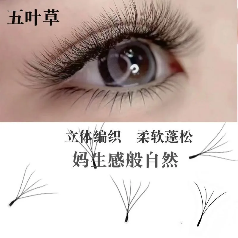 Lash applicator tools