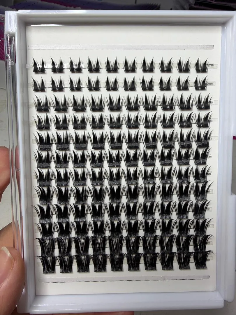 Cluster lashes on tray