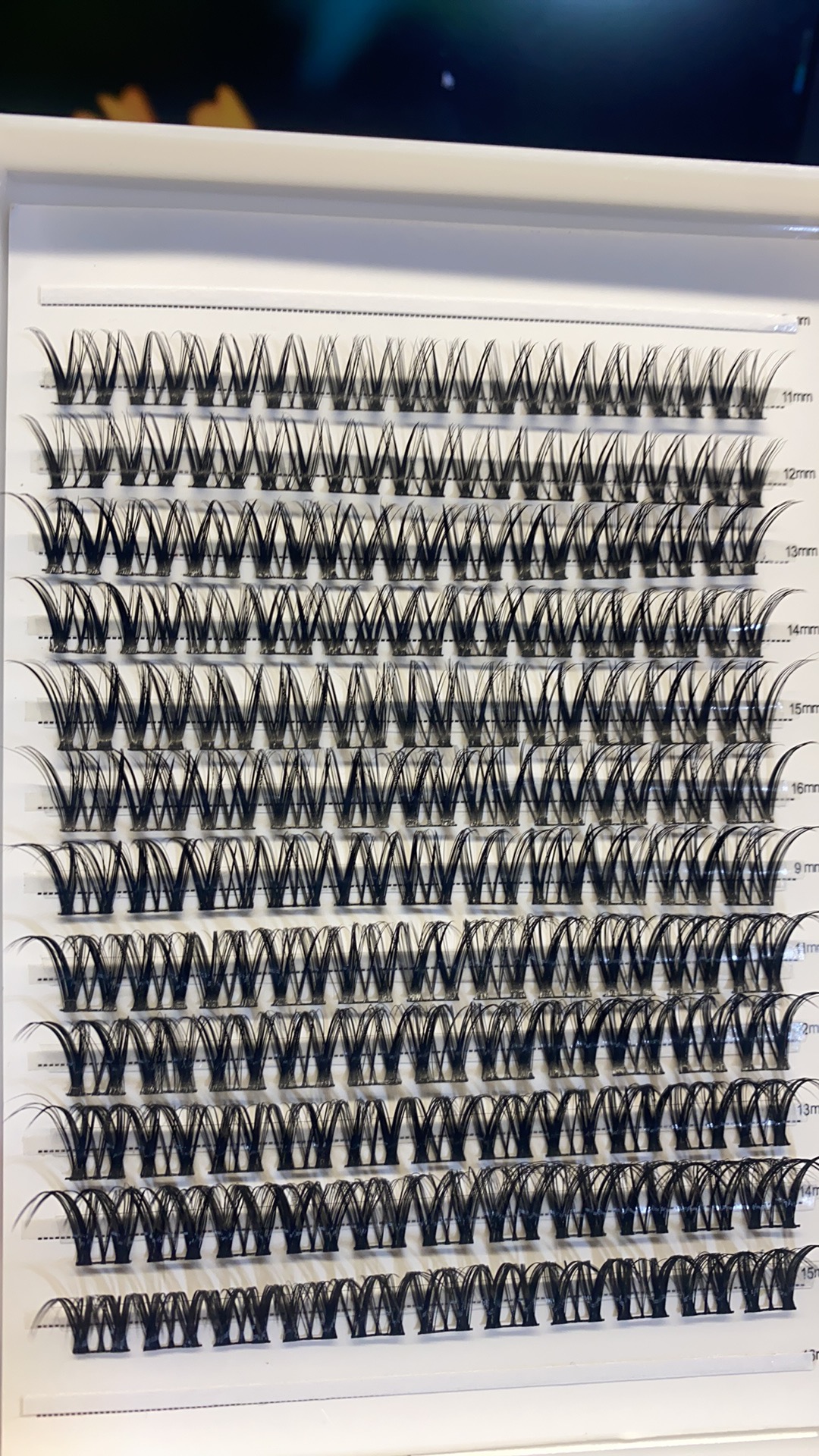 Lashes for GCC/Middle East market