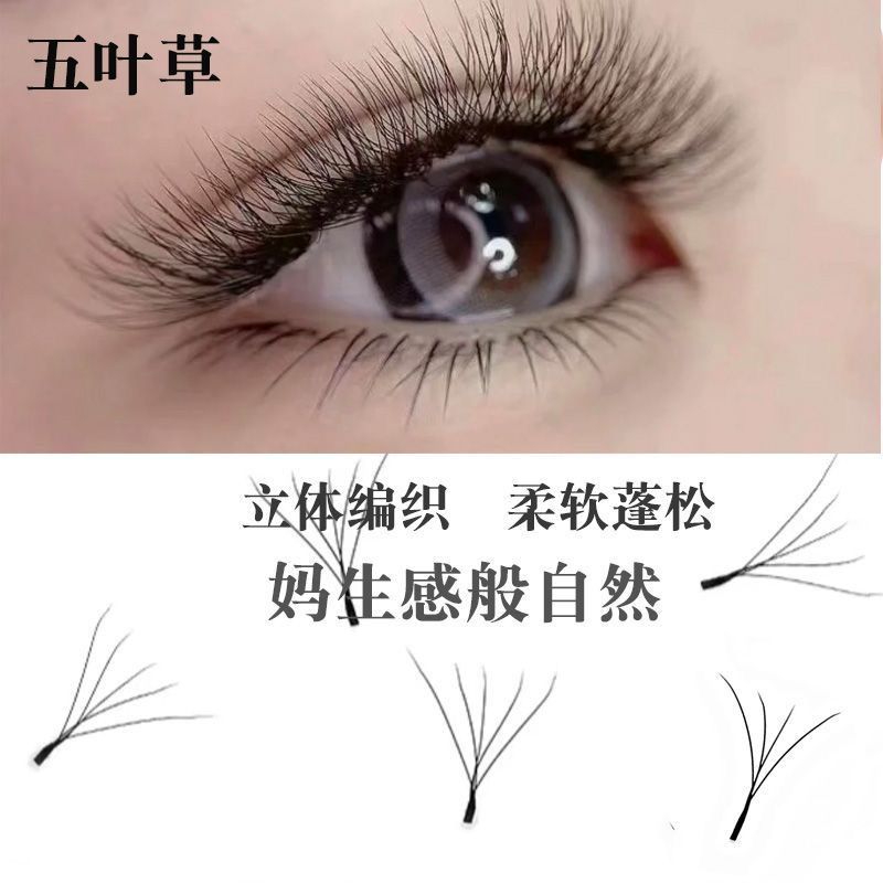 Lash Tools and Accessories